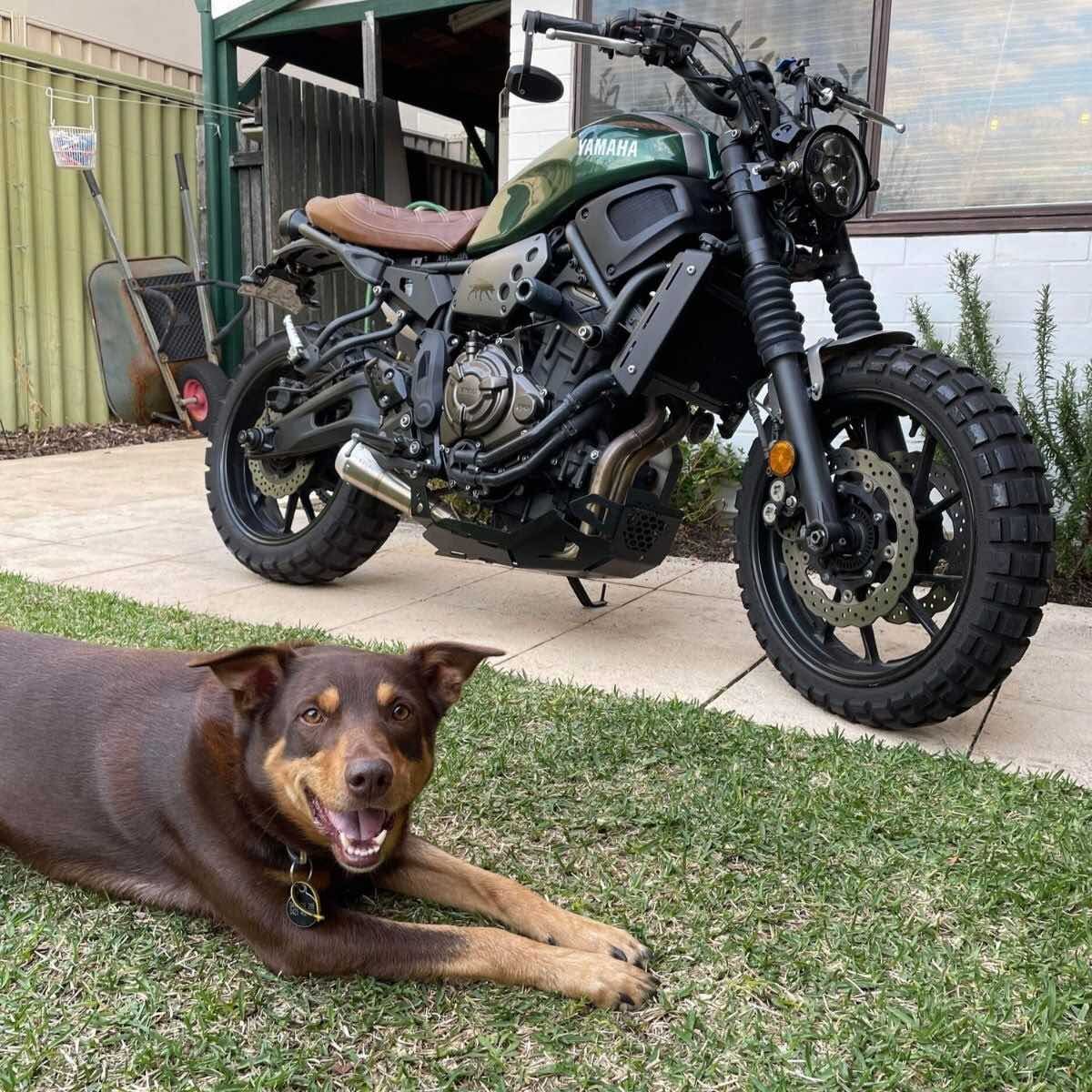 YAMAHA XSR700 (2016-2025) FULL STAINLESS EXHAUST SYSTEM