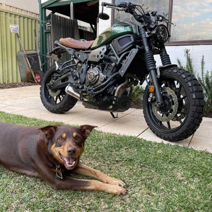 YAMAHA XSR700 (2016-2025) FULL STAINLESS EXHAUST SYSTEM