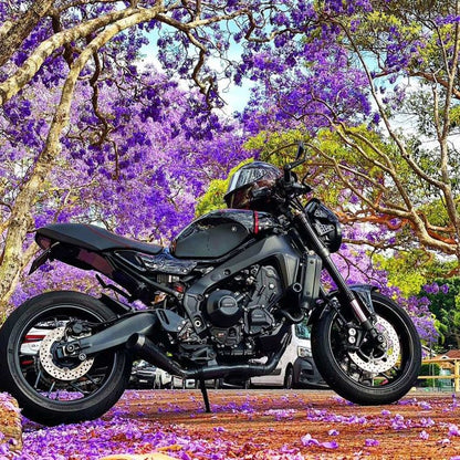 YAMAHA XSR900 (2022-2024) SEAT RESHAPE & CUSTOM TRIM
